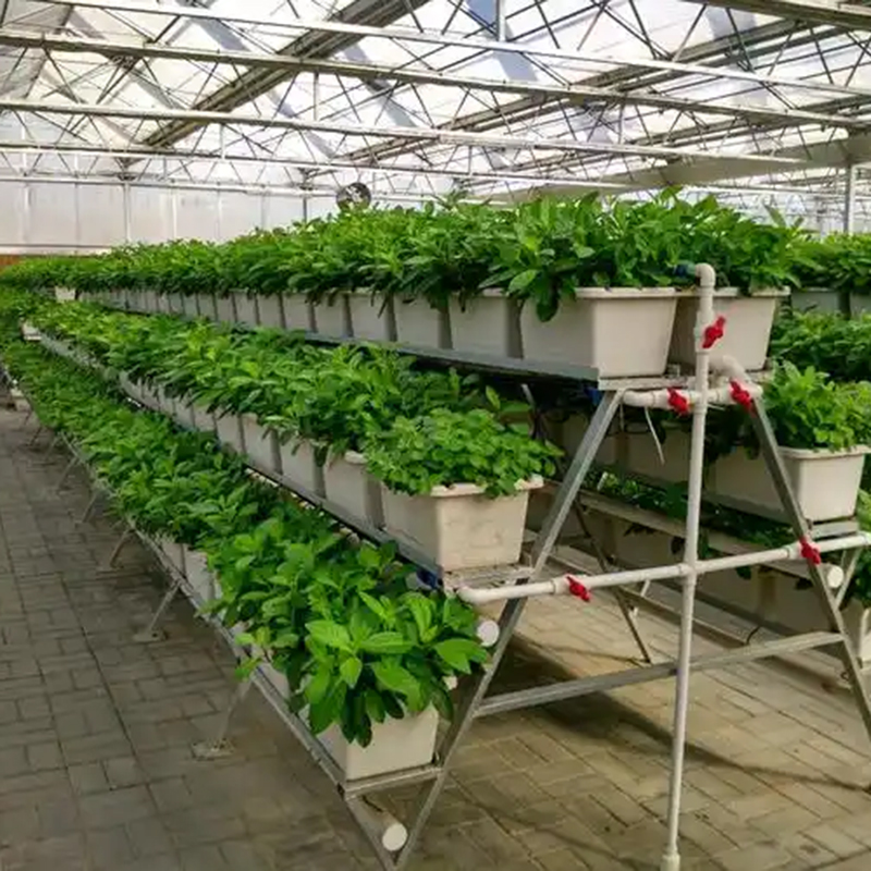 汕尾市植物工厂气雾培 - 哪里好